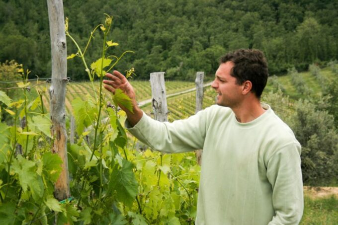 From Florence: Chianti Wine Tastings at Sunset Day Trip - Customer Feedback and Ratings