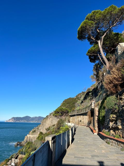 From Florence: Cinque Terre&Pisa Private Day Tour W/Transfer - Key Points