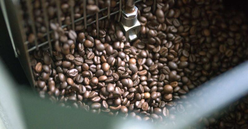 From Florence: Coffee & Olive Oil Small Group Tour - Key Points