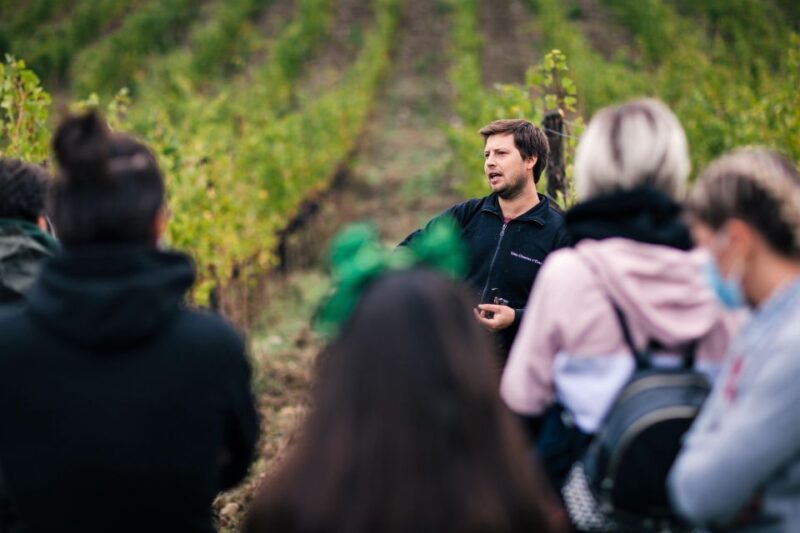 From Florence: Coffee & Wine Small Group Tour - Coffee Factory Experience