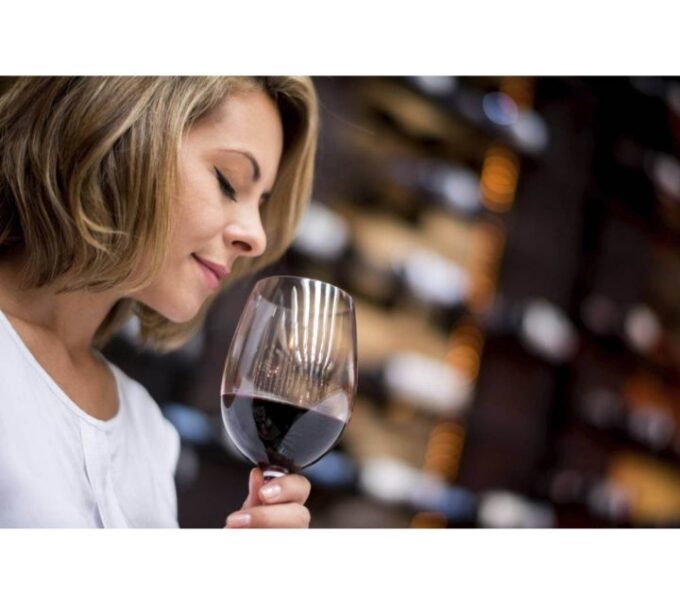 From Florence: Outdoor Wine Dining in San Gimignano Winery - Traveler Types and Recommendations