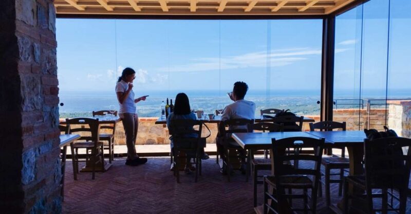 From Florence Private: Bolgheri Wine Tour With Tasting - Key Points