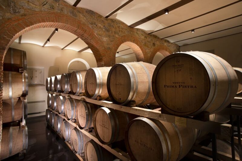 From Florence Private: Bolgheri Wine Tour With Tasting - Itinerary Highlights