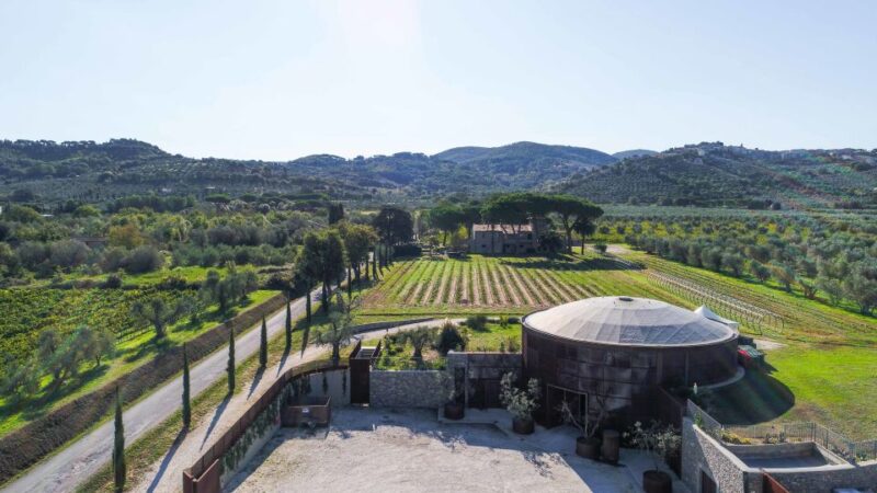 From Florence Private: Bolgheri Wine Tour With Tasting - Transportation and Amenities