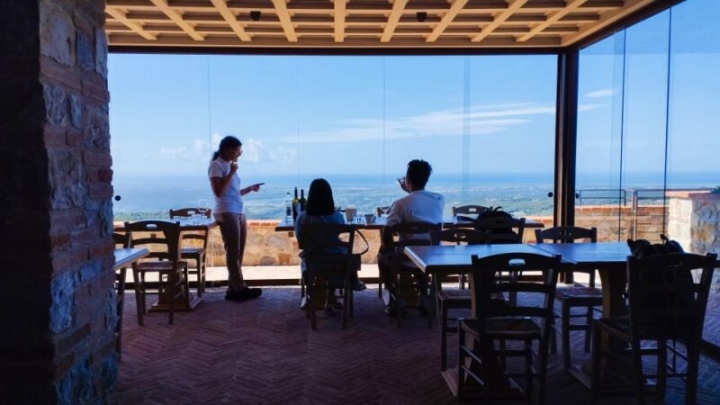 From Florence Private: Bolgheri Wine Tour With Tasting - Meeting Point and Accessibility