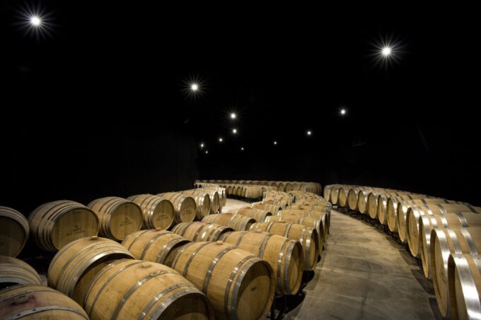 From Florence Private: Bolgheri Wine Tour With Tasting - Breathtaking Views and Boutique Cellars