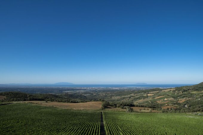 From Florence Private: Bolgheri Wine Tour With Tasting - Discovering Bolgheris Charming Village