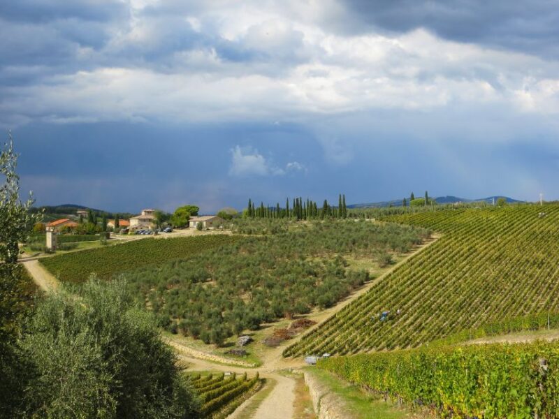 From Florence: Private Siena Day Trip With Transfers - Key Points