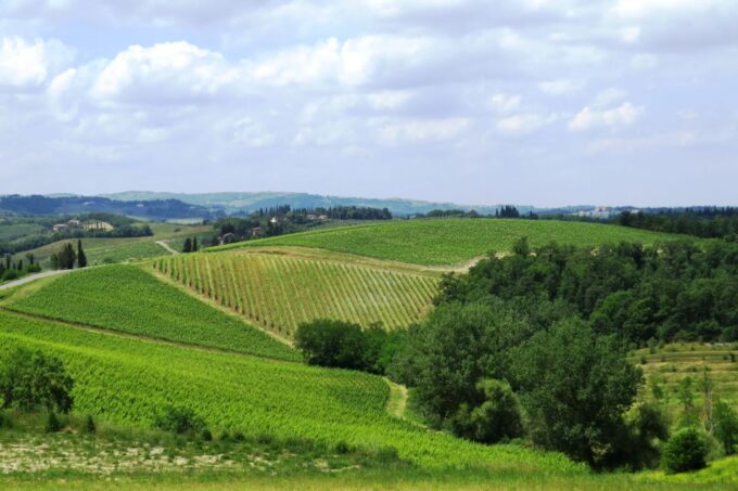 From Florence: Private Wine Tour With Dinner on an Estate - Tuscan Dinner and Wine Pairing