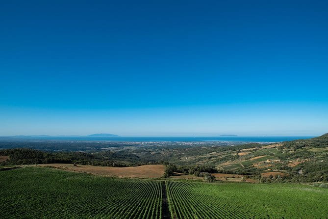 From Florence PRIVATE:Bolgheri Wine Tour,Tasting Among the Tuscany Coastal Hills - Discovering Tuscanys Coastal Wine Region