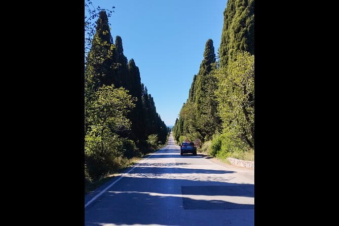 From Florence PRIVATE:Bolgheri Wine Tour,Tasting Among the Tuscany Coastal Hills - Savoring Tuscanys Culinary Delights