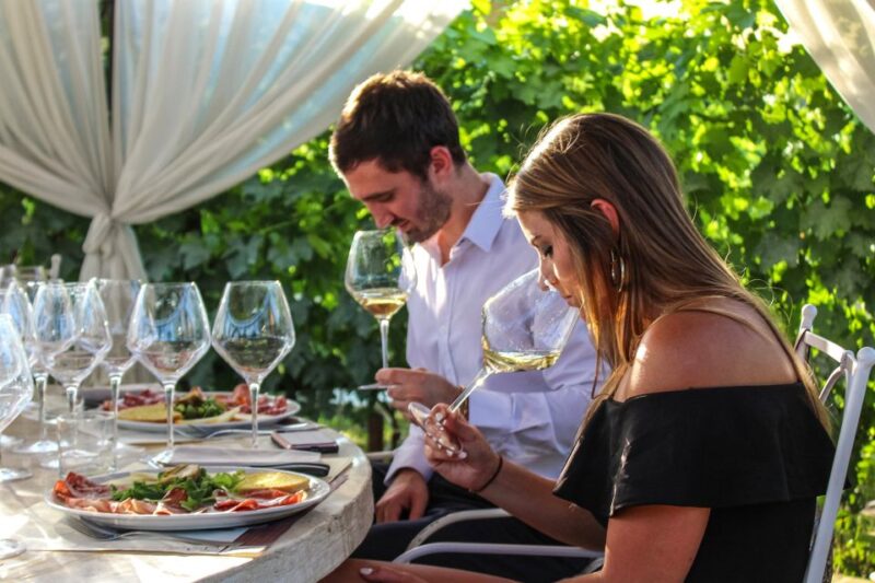 From Florence: San Gimignano Winery Tour With Wine Tasting - Tour Overview