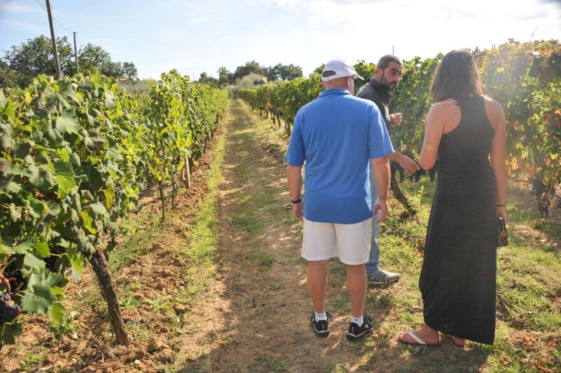 From Florence: Siena, San Gimignano & Chianti Wine Tasting - Customer Feedback