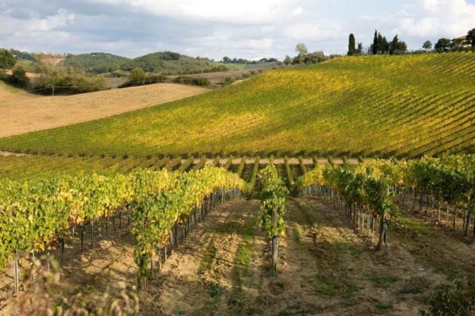 From Florence: Siena & San Gimignano Tour With Wine & Lunch - Meeting Point and Accessibility