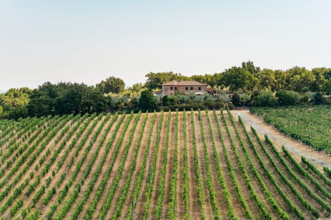 From Florence: Small Group Wine Tasting Tour to Tuscany - Small-Group Experience