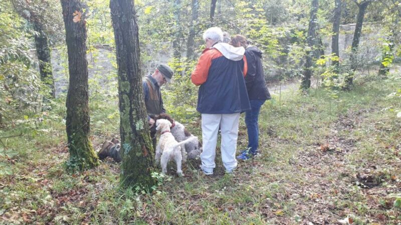 From Florence: Truffle Hunt and Lunch in the Countryside - Itinerary and Activities