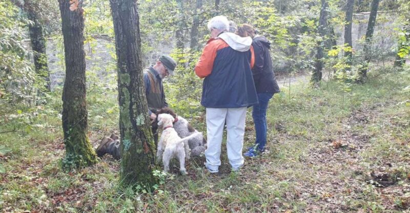 From Florence: Truffle Hunt and Lunch in the Countryside - Inclusion and Essentials