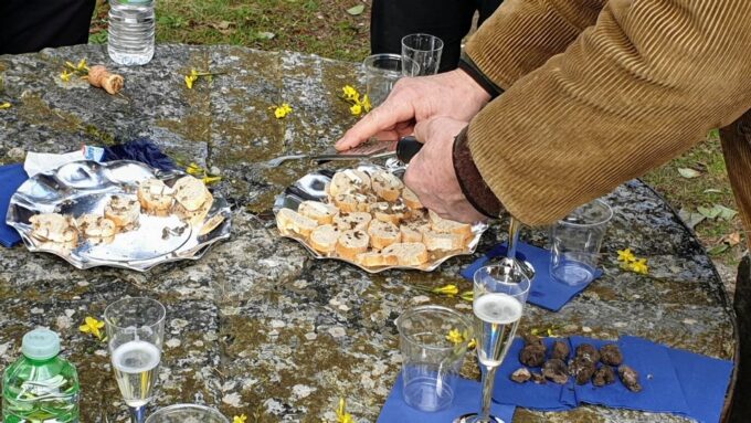From Florence: Truffle Hunt and Lunch in the Countryside - Truffle Hunt Experience