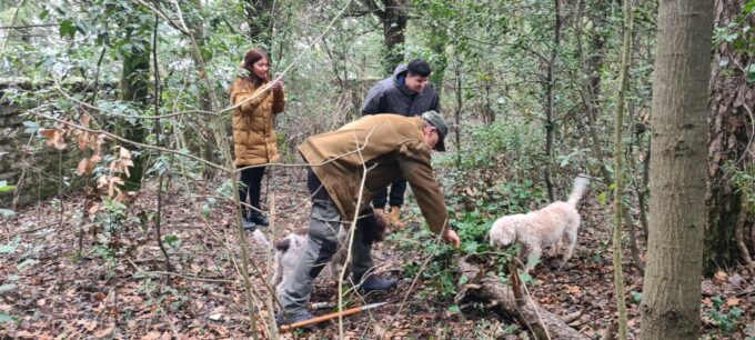 From Florence: Truffle Hunt and Lunch in the Countryside - Frequently Asked Questions