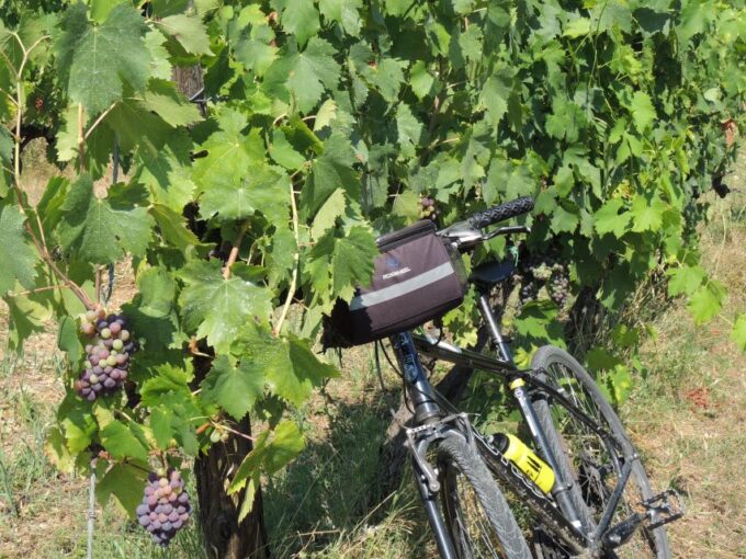 From Florence: Tuscan Hills Biking With Farm Tour and Lunch - Additional Information