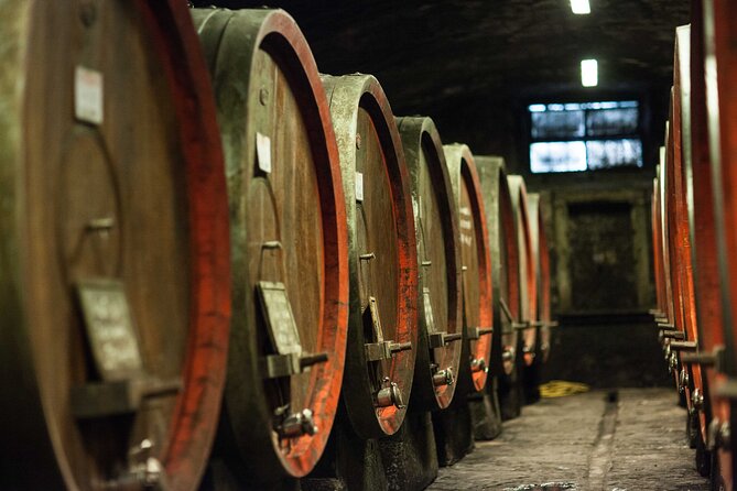 From Florence: Tuscan Wine & Olive Oil Tasting Small Group Tour - Inclusions and Exclusions