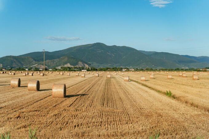 From Florence: Tuscany Day Trip With Lunch at Chianti Winery - Tour Duration and Cancellation