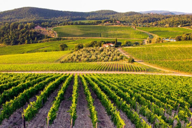 From Florence: Tuscany Wine & Food Tour With Guide - Highlights of the Itinerary
