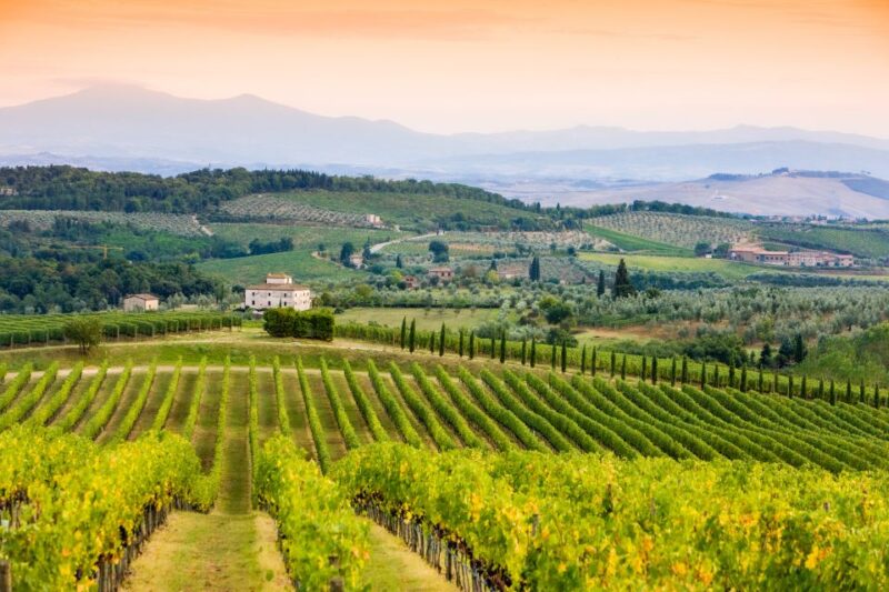 From Florence: Tuscany Wine & Food Tour With Guide - Important Information