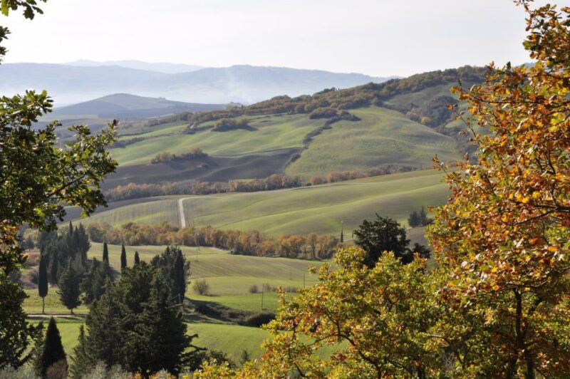 From Florence: Val D'Orcia Full-Day Wine Tasting Tour - Highlights and Activities