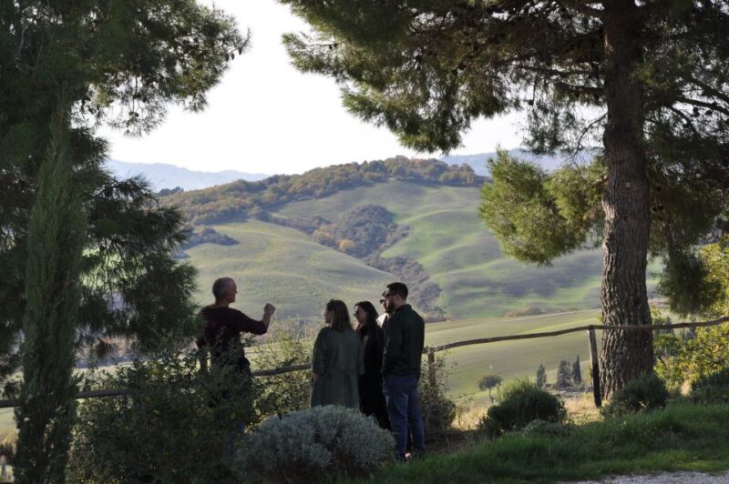 From Florence: Val D'Orcia Full-Day Wine Tasting Tour - Lunch at Organic Farm