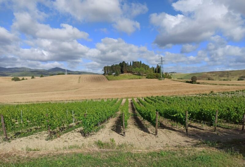 From Florence: Visit Pisa and Siena With Tasting in Chianti - Key Points