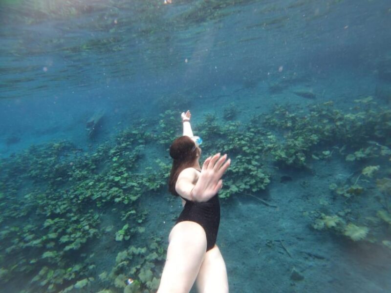 From Flores: Blue Crater Private Day Tour - Itinerary and Pickup Locations