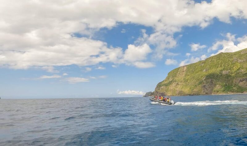 From Flores: Corvo Boat Trip and Island Sightseeing Tour - Customer Reviews