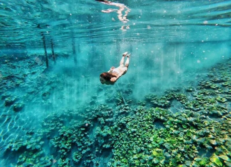 From Flores: El Pucte Blue Crater Private Day Tour - Itinerary