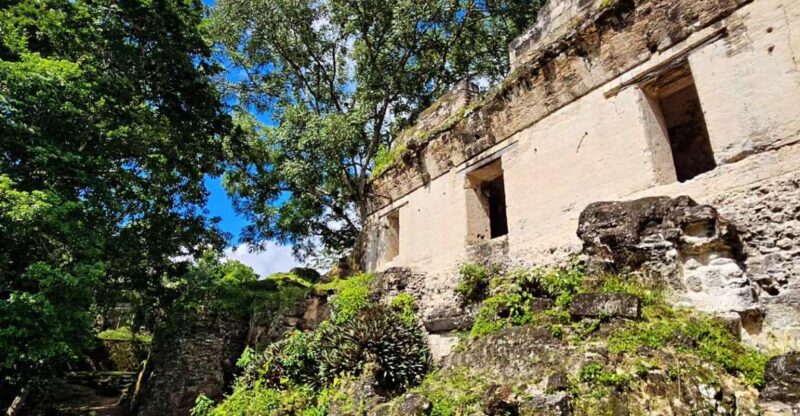 From Flores: Exclusive Tikal Group Tour - Key Points