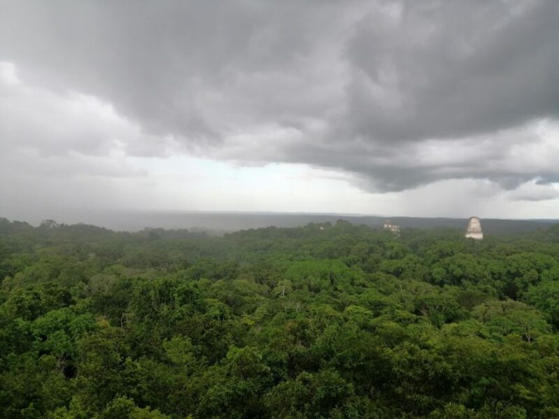 From Flores: Exclusive Tikal Group Tour - Experience Highlights