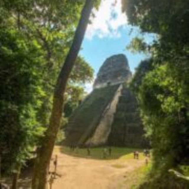 From Flores: Tikal and Yaxhá Day Tour - Itinerary