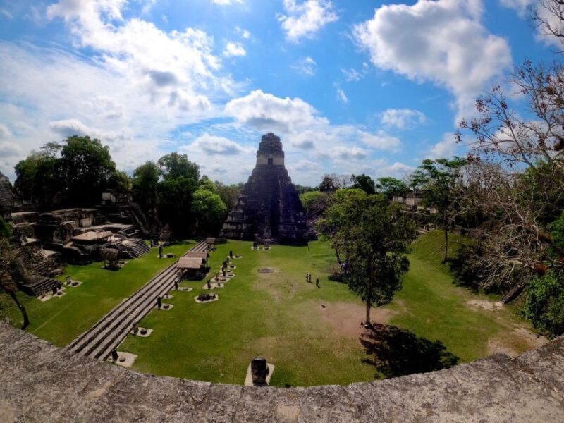 From Flores: Tikal Guided Tour With Transportation - Key Points