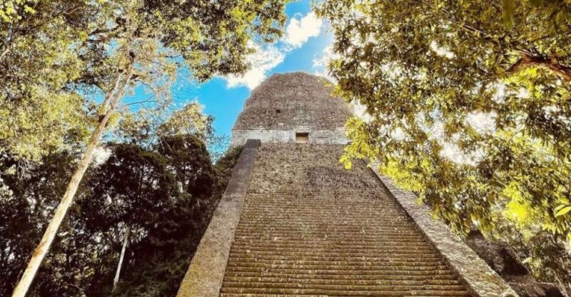 From Flores: Tikal National Park Private Day Trip With Lunch - Inclusions
