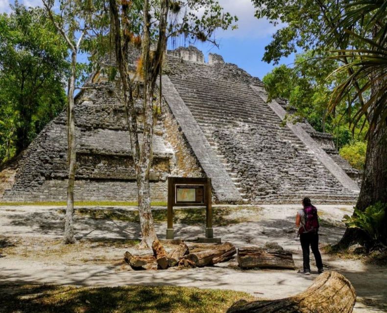 From Flores: Tikal National Park Private Day Trip With Lunch - Lunch and Isla De Flores