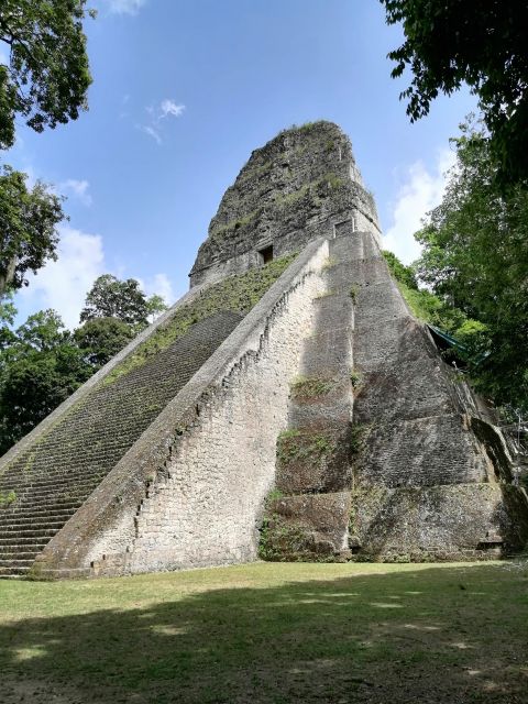 From Flores: Tikal Private Day Tour Exclusive - Tour Highlights