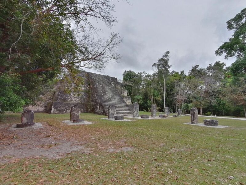 From Flores: Tikal Private Tour for Groups - Tikal National Park Information