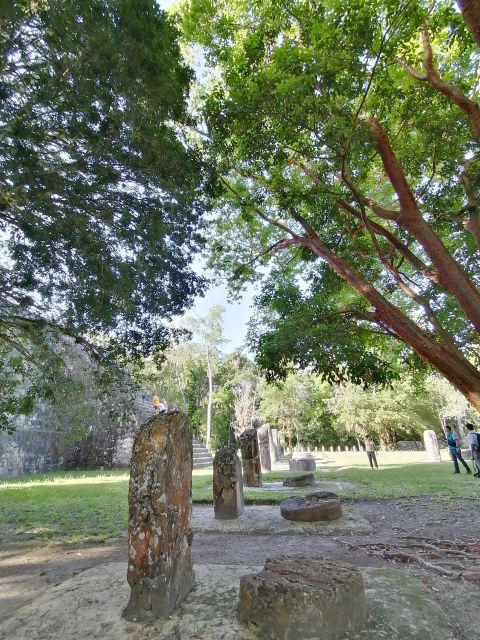 From Flores: Tikal Private Tour for Groups - Pickup and Transportation