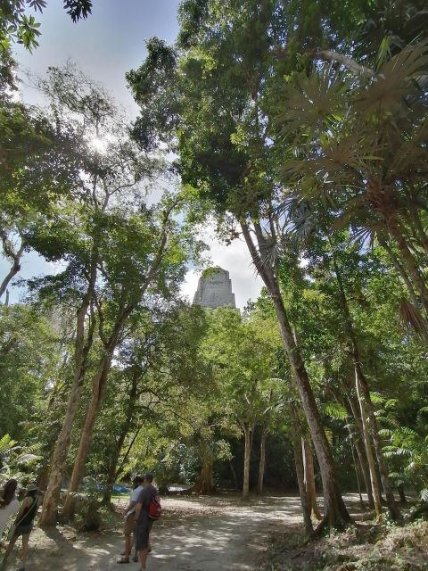 From Flores: Tikal Private Tour for Groups - Exclusive Service and Flexibility