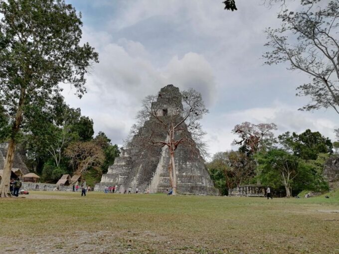 From Flores: Tikal Private Tour for Groups - Tour Highlights and Experience