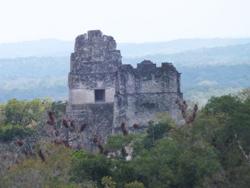 From Flores: Tikal Ruins Guided Day Trip - Highlights and Experience