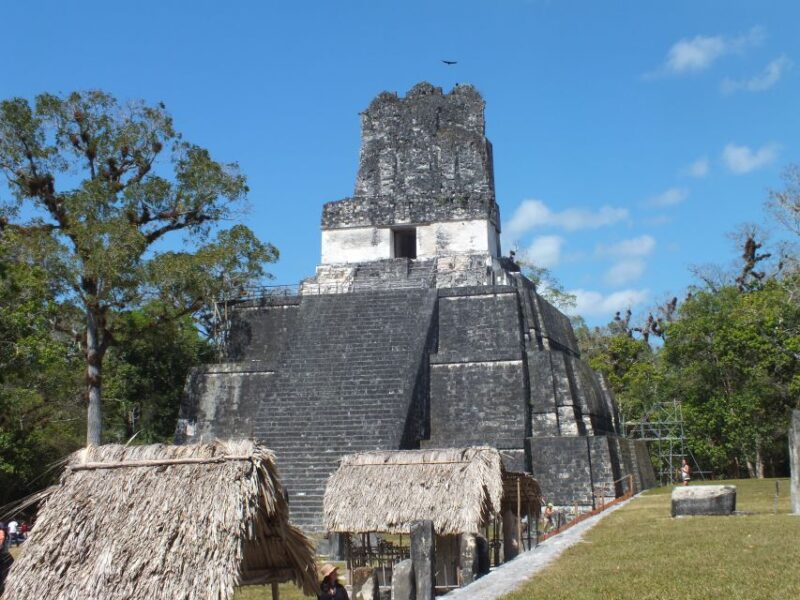 From Flores: Tikal Ruins Guided Day Trip - Customer Feedback