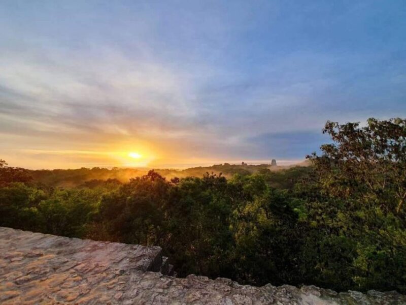 From Flores: Tikal Sunrise Extended Private Tour - Customer Reviews