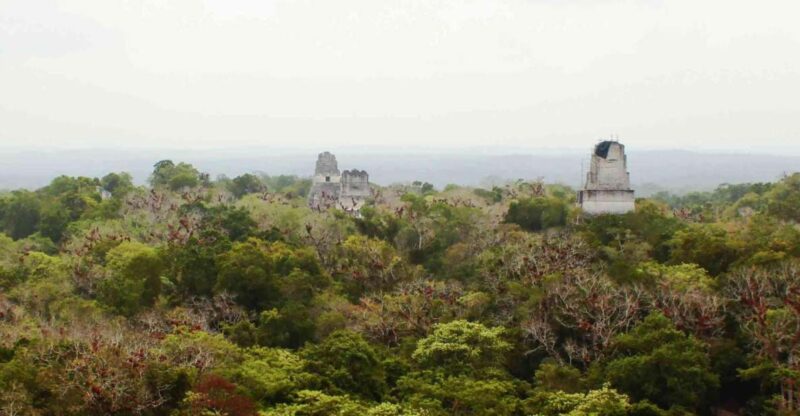 From Flores: Tikal Sunset Tour - Inclusions and Exclusions