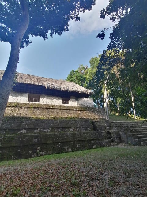 From Flores: Tikal + Yaxha Sunset Tour Private - Tikal Site Highlights